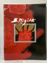 図録 三岸節子作品集 SETSUKO MIGISHI'S WORKS ビジョン企画出版社