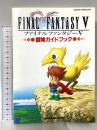 ファイナルファンタジー5冒険ガイドブック エヌティティ出版