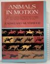 【洋書】【図録】Animals in Motion (Dover Anatomy for Artists) Dover Publications Eadweard Muybridge