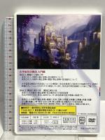 大宇宙気功療法 気のパワーで超健康体をつくる 入門編 一般社団法人全日本養生協会 梁蔭全  DVD 2枚組