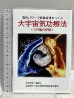 大宇宙気功療法 気のパワーで超健康体をつくる 入門編 一般社団法人全日本養生協会 梁蔭全  DVD 2枚組