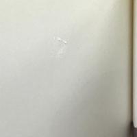 猫のヤーコプ うちあけばなし (Artback)　トーマス ヘルトナー スヴェン ハルトマン 犬養智子 CBSソニー出版 1980年2刷