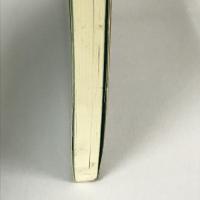 自律神経失調症の不安から逃れた！　日正出版