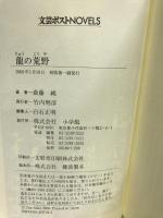 龍の荒野 (文芸ポストNOVELS)　小学館　斎藤純