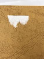 近代世界の災害　日本の自然災害の姉妹編　国会資料編纂会　力武常次　1996年初版