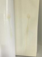 ジャン・ピアジェ 人間諸科学の認識論 要約　西田書店　白井桂一（編）