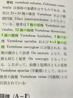 分冊 解剖学アトラス 1　運動器　越智淳三