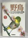 自然発見ガイド 野鳥―しぐさでわかる身近な野鳥　学研プラス　市田 則孝
