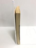 西アジア遊記 (中公文庫)　中央公論社 宮崎 市定