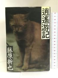 逍遙游記　　朝日新聞社　藤原新也