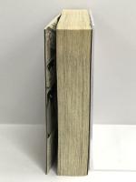 星野誠一41歳パチスロで家族を養う男―2010年度版 (白夜コミックス 318) 白夜書房 星野 誠一