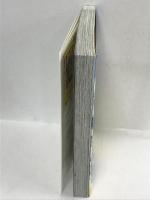 ミナミの帝王 113 (ニチブンコミックス) 日本文芸社 天王寺 大