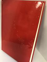 白日夢　素行調査官2 光文社 笹本 稜平