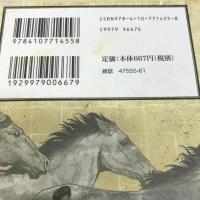 花の慶次　雲のかなたに (完全版) 全12巻完結(BUNCH WORLD)  新潮社 原 哲夫