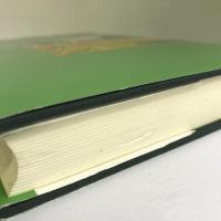 イギリスの地方政府 流通経済大学出版会 大塚 祚保