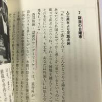 雲南哀楽紀行 (Aiikusha books) 愛育社 友寄貞丸