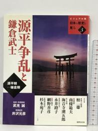 源平争乱と鎌倉武士 ビジュアル版 日本の歴史を見る〈3〉 (ビジュアル版日本の歴史を見る (3)) 世界文化社  武光誠