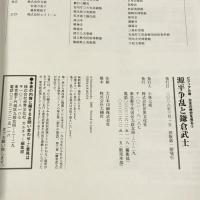 源平争乱と鎌倉武士 ビジュアル版 日本の歴史を見る〈3〉 (ビジュアル版日本の歴史を見る (3)) 世界文化社  武光誠