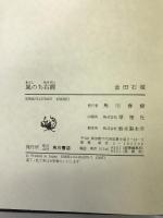 嵐のち右卿(ゆうけい) 角川書店 金田 石城