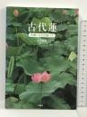 古代蓮 大賀ハスと行田ハス 新風舎 中谷 俊雄