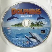 イルカの楽園 アイ・ヴィ・シー ピアース・ブロンナン  [DVD]