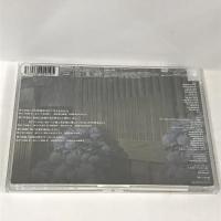 銀魂 シーズン其ノ参 10 アニプレックス 杉田智和  [DVD]