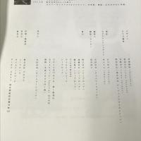 タビサイトナイトメア SAKITO from NIGHTMARE SHINSUKE ISHIKAWA 「TABISITE」 Vol.1 カンボジア編 ［BOOK+DVD］シーブロック ナイトメア 咲人