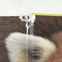 こんにちは どうぶつたち (0.1.2.えほん) 株式会社 福音館書店 とだきょうこ 案/さとうあきら 写真