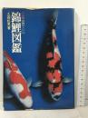 錦鯉図鑑 池田書店 大森松男