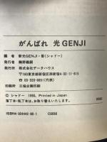 がんばれ光GENJI: 新・光GENJIへの手紙 データハウス 新 光GENJI 影