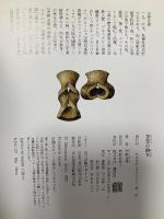 空想の繪本 講談社 安野 光雅