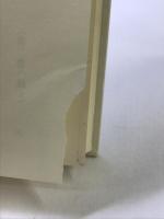 さよならの贈りもの (ドーン・ロシェルの季節1) 岩崎書店 ローレイン マクダニエル