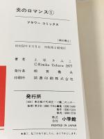 炎のロマンス 全9巻 セット フラワーコミックス 小学館 上原きみこ