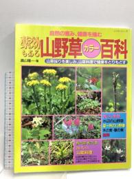 薬効もある山野草カラー百科: 自然の恵み、健康を摘む (レッスンシリーズ) パッチワーク通信社 畠山 陽一