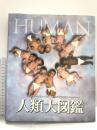 人類大図鑑 (DKブックシリーズ) ネコ・パブリッシング ロバート・ウィンストン