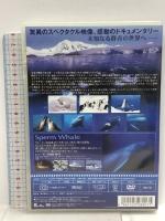 ディスカバリー・オブ・オーシャン マッコウクジラ  アートポート [DVD]