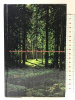 消えた太陽 (魔法の本棚) 国書刊行会 アレクサンドル グリーン