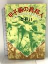 甲子園の異邦人 講談社 金 賛汀