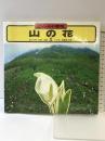 フィールド百花―山の花 (1) 湿った林/谷筋/林緑/ブナ林/尾根筋・岩場 山と溪谷社 大場 達之
