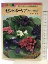 セントポーリア カラー版: やさしい作り方 金園社 高橋 章