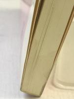 中国語表現のポイント99 好文出版 張 黎