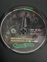 松本山雅FC  ~2015シーズン J1闘いの軌跡~ SBC信越放送 松本山雅FC [DVD]