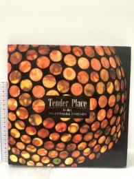 作品集 Tender Place: ステンドグラスのあるくつろぎの場所 光琳社出版 林 満江