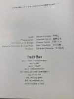 作品集 Tender Place: ステンドグラスのあるくつろぎの場所 光琳社出版 林 満江