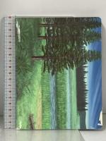 たたかえ! 恐竜マグネットあそび [知育・マグネットブック] (こどものほん) 交通新聞社 富田京一