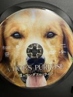 僕のワンダフル・ライフ NBCユニバーサルエンターテインメント ジョシュ・ギャッド DVD
