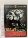 散り行く花  ファーストトレーディング リリアン・ギッシュ/ドナルド・クリスプ/リチャード・バーセルメス [DVD]