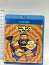ミニオンズ フィーバー NBCユニバーサルエンターテインメント  スティーヴ・カレル Blu-ray DVD 2枚組