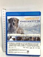 野性の呼び声 ウォルトディズニージャパン ハリソン・フォード Blu-ray