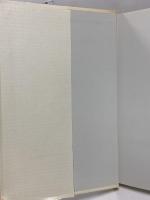 映画100年 映画が時代を語るとき 新日本出版社 山田 和夫